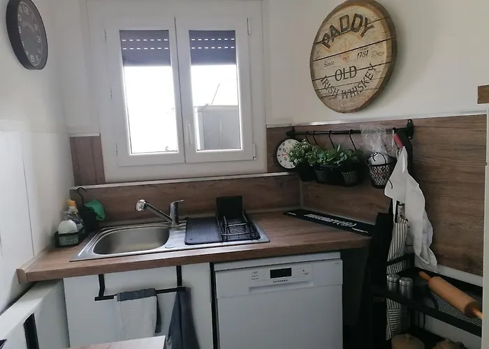 דירה T3 Climatise A 150m De La קאנט אן רוסיון