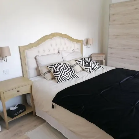 T3 Spacieux A 150m De La Apartman *