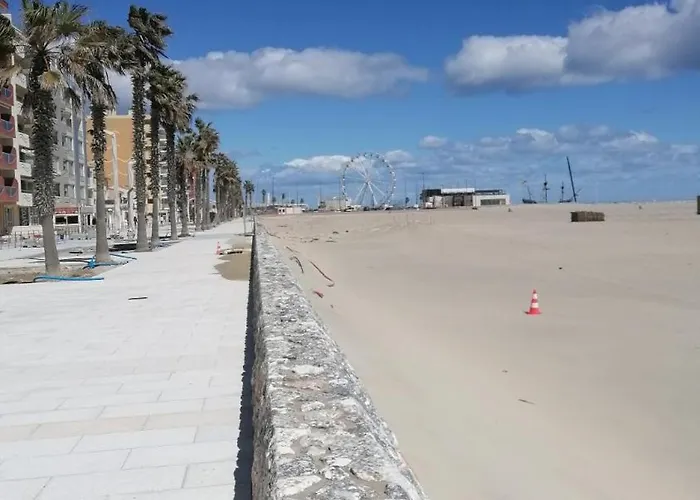 T3 Climatise A 150m De La Daire